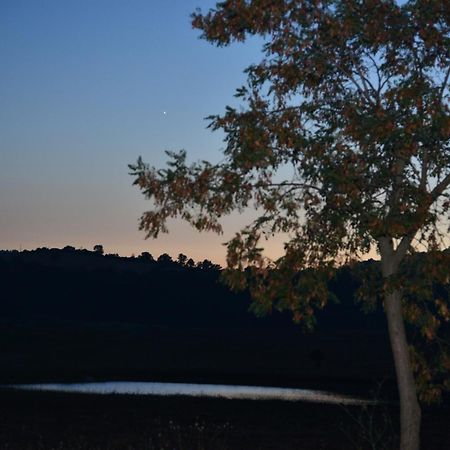 Agriturismo Podere Micitto Usi Rum bild