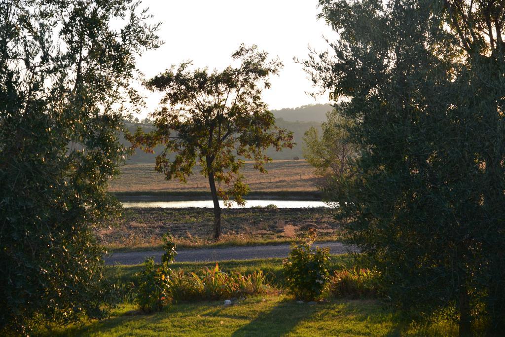 Agriturismo Podere Micitto Usi Rum bild