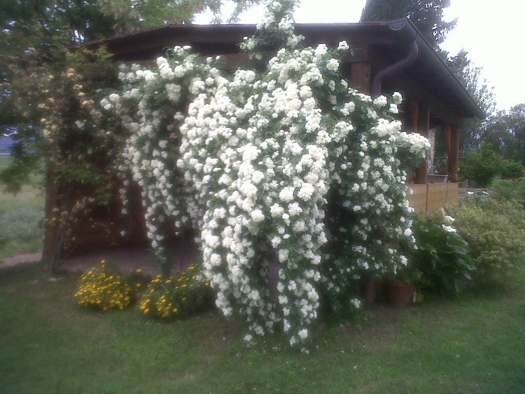 Agriturismo Podere Micitto Usi Exteriör bild
